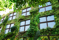 WEBINAR: Umwelt und Liegenschaft